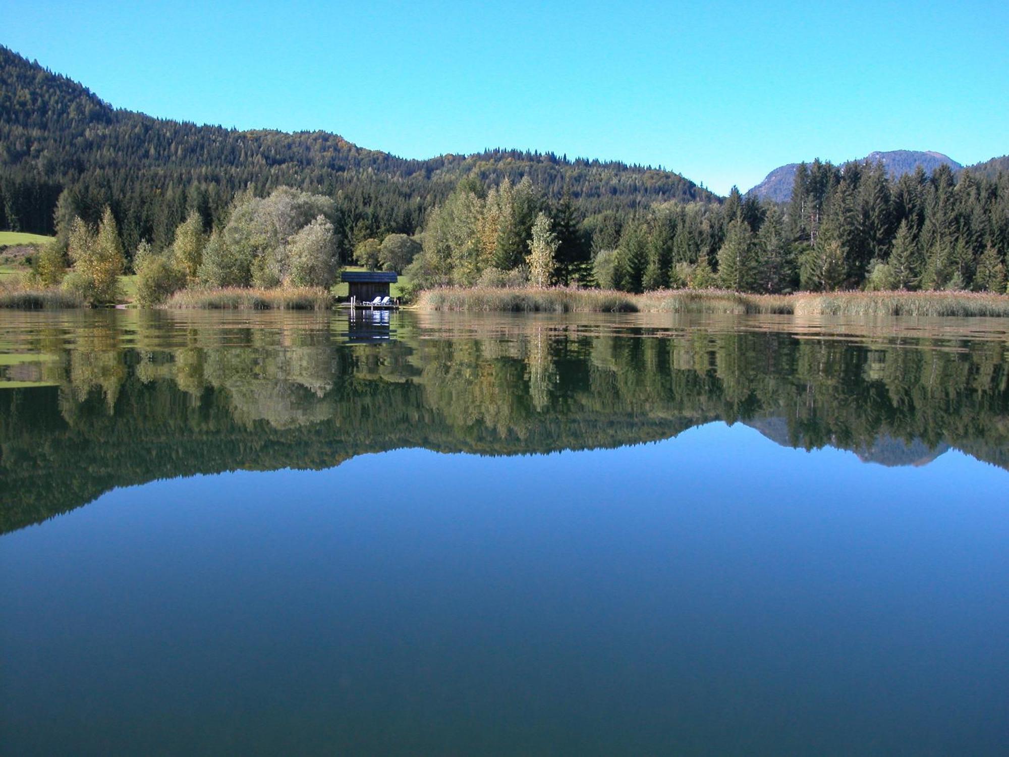 Kraners Alpenhof Bio Bed And Breakfast Pension ไวส์เซินซี ภายนอก รูปภาพ