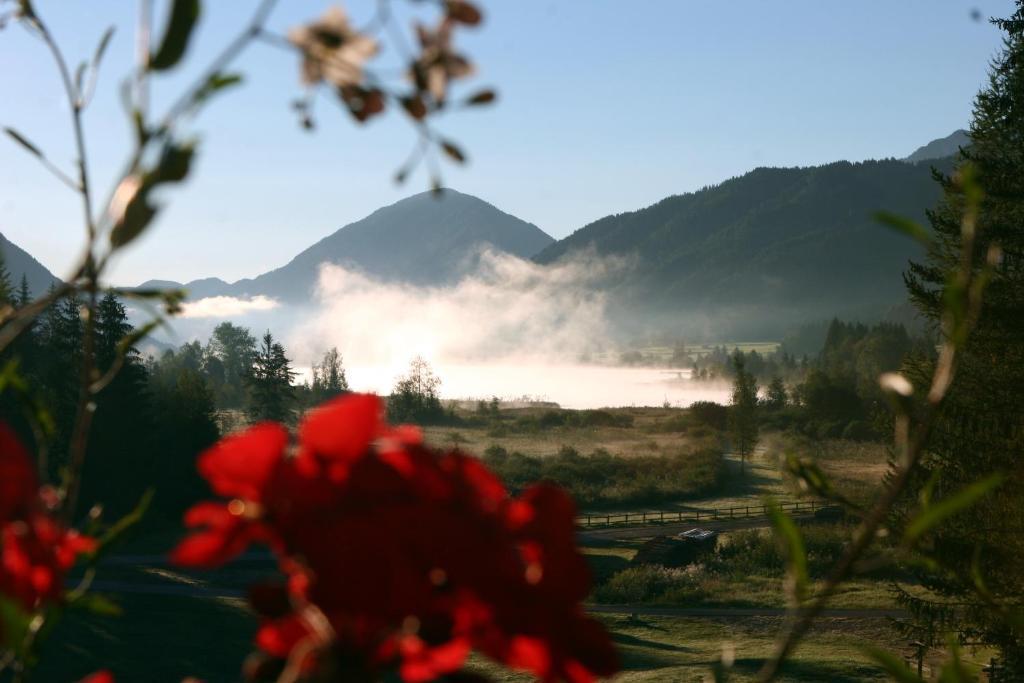 Kraners Alpenhof Bio Bed And Breakfast Pension ไวส์เซินซี ภายนอก รูปภาพ